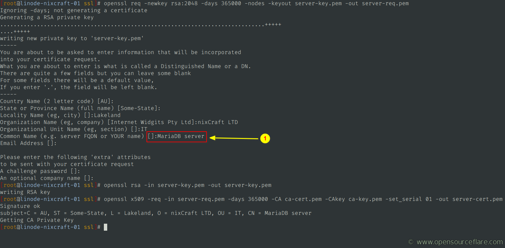 Create the server TLS certificate