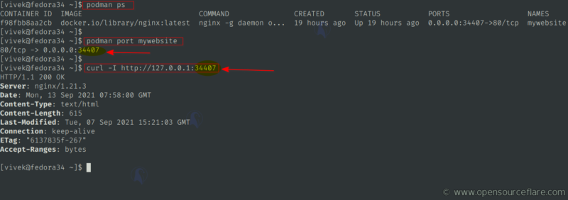 Running Nginx container in the background