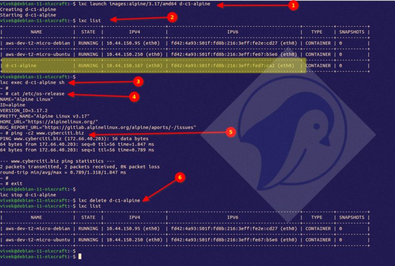 Creating your First Alpine Linux CONTAINER on Debian Linux 11 LXD server