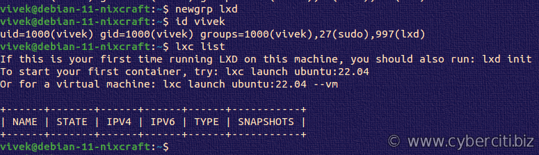 Debian 11 LXD verification with lxc list command