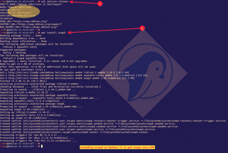 Installing snap on Debian 11 using the APT