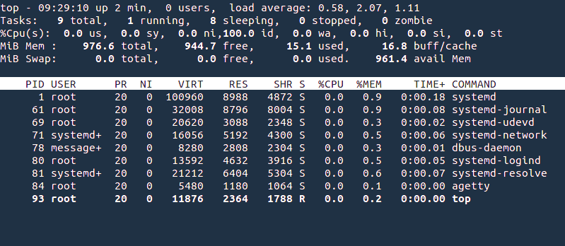 Running top command on EC2 like instance on Debian 11 dev machine
